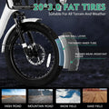 ABORON 3.0 Fat Tire Electric Trike for Senior Foldable E - Bike, 500W Motorized Tricycle Adult 20" Folding 3 Wheel Electric Commute Bike Trike W/48V Battery and Storage Baskets