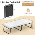 Cot Size Rollaway Guest Bed with Memory Foam Mattress, 75"x31" Portable Folding Bed with Heavy-Duty Metal Frame for Home Office Small Spaces