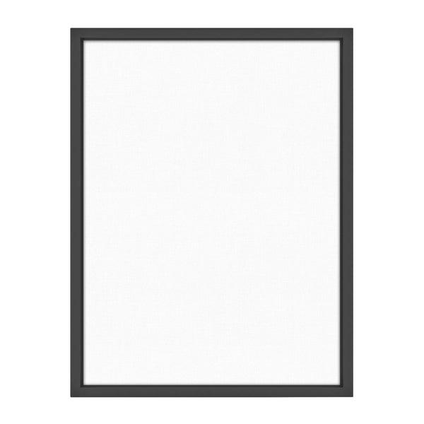 MCS Floating Frame with Canvas Included, Art Frames for Canvas Paintings with Adhesive Fasteners and Hanging Hardware, Black, 18 x 24 inch