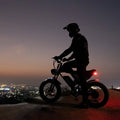 Ridstar Electric Bike for Adults, Peak 1500W 30MPH, 48V 15.6ah Electric Bicycle, Full Suspension Mountain Bike UL2849