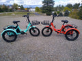 ABORON 3.0 Fat Tire Electric Trike for Senior Foldable E - Bike, 500W Motorized Tricycle Adult 20" Folding 3 Wheel Electric Commute Bike Trike W/48V Battery and Storage Baskets