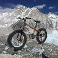 20 in Mountain Bike for 7 - 15 Years Old, 7 Speed Kids Bike with High Carbon Steel Frame, Fat Tire and Dual Disc Brake, Front Suspension Mountain Bicycle Gift for Boys Girls, Grey - Orange