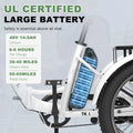 ABORON 3.0 Fat Tire Electric Trike for Senior Foldable E - Bike, 500W Motorized Tricycle Adult 20" Folding 3 Wheel Electric Commute Bike Trike W/48V Battery and Storage Baskets