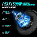 Ridstar Electric Bike for Adults, Peak 1500W 30MPH, 48V 15.6ah Electric Bicycle, Full Suspension Mountain Bike UL2849