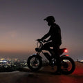 Ridstar Electric Bike for Adults Q20, 1200W 30MPH, 48V 15.6ah Electric Bicycle, 7 Speed Full Suspension Mountain Bike UL2849